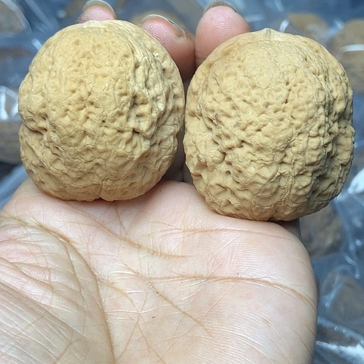 文玩核桃把件云南铁核桃基地61