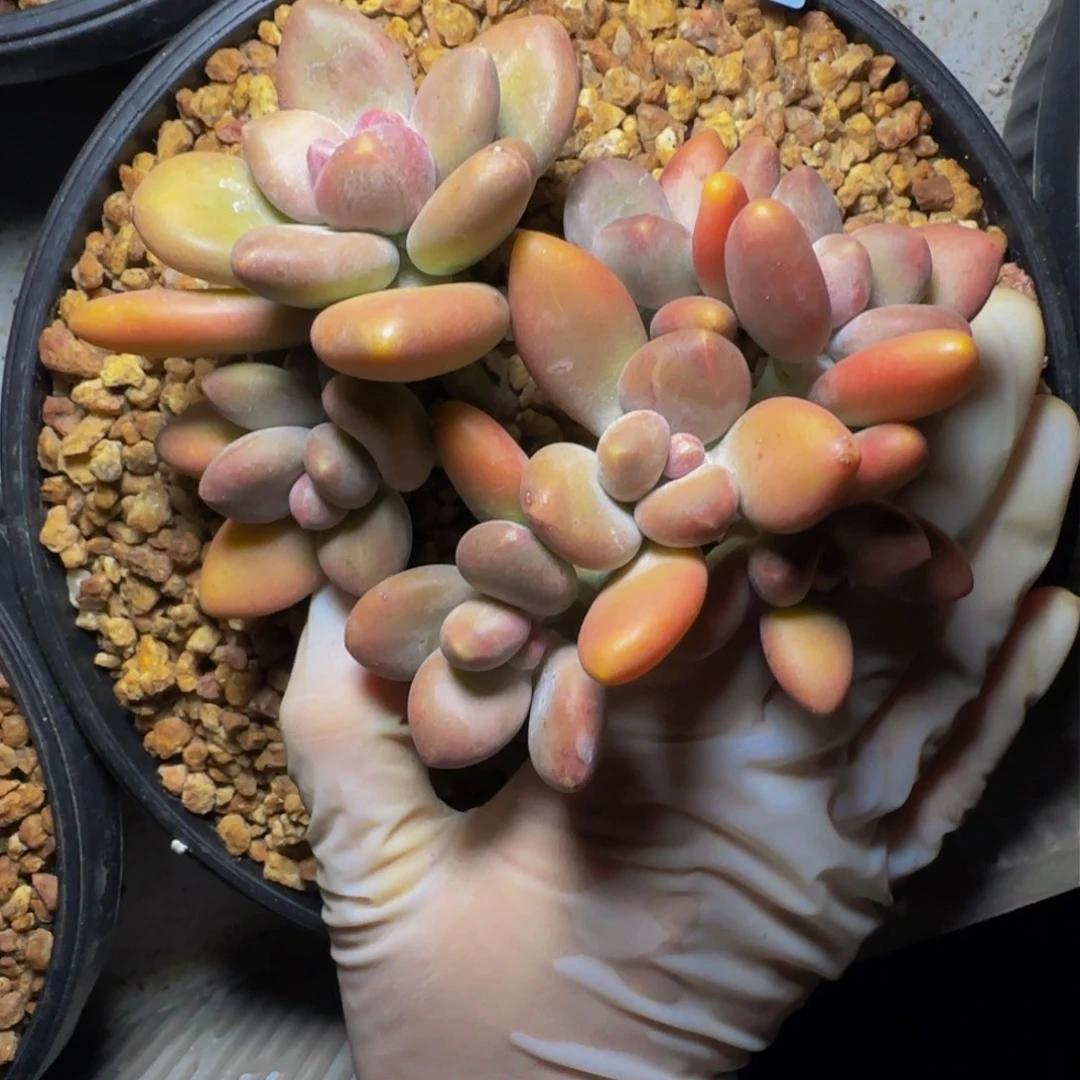 z z z z z z z z z 3