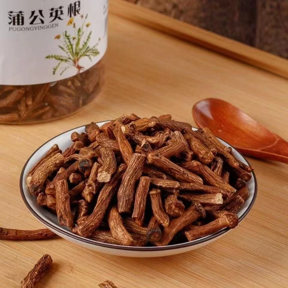 蒲公英 大根长白山