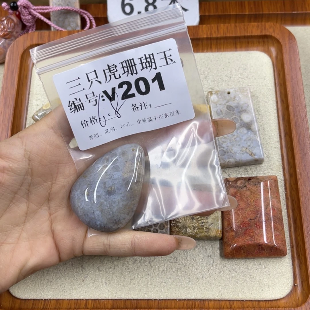 无***念硅化珊瑚（珊瑚玉）未镶嵌h