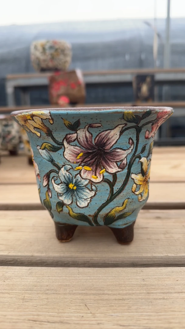 韩盆supia酥皮鸭多肉花盆