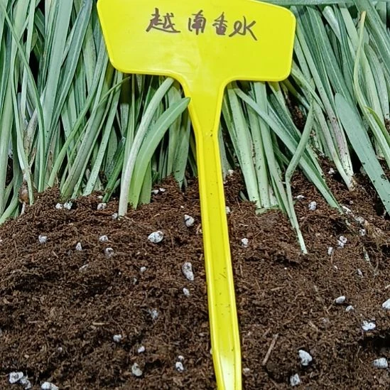 无花朵越南香水0.8发二个