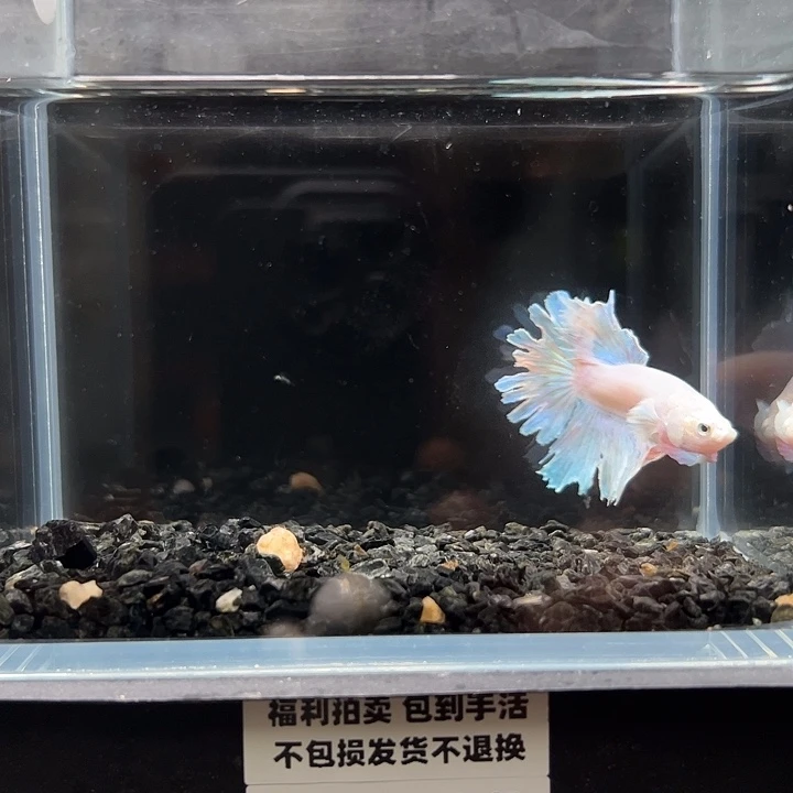 斗鱼满30包邮11日91+118