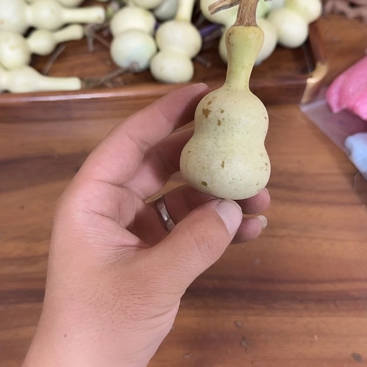 美***嗷khckchlcjvjbkbobpn