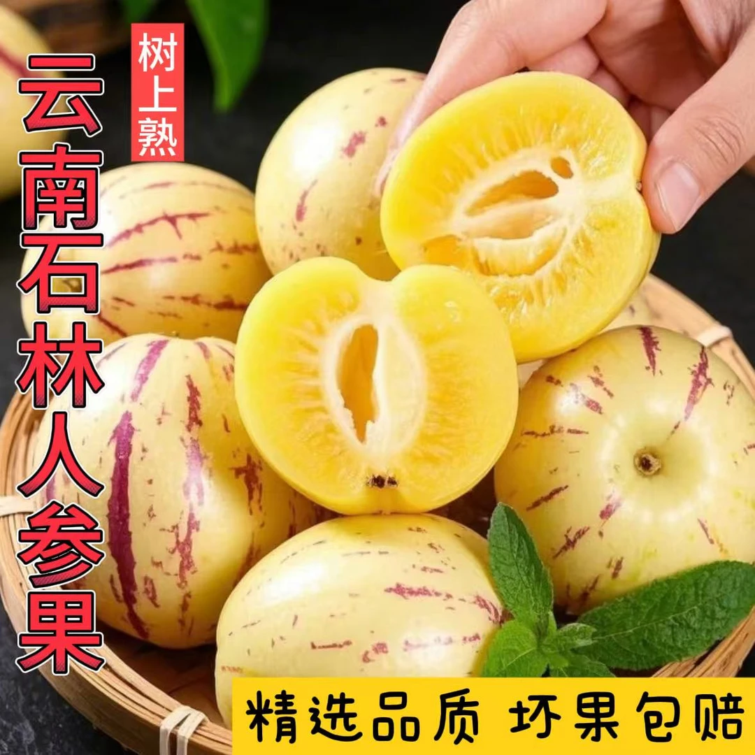 云南正宗石林树熟人参果圆果新鲜当季消暑清甜多汁低糖水果人生果