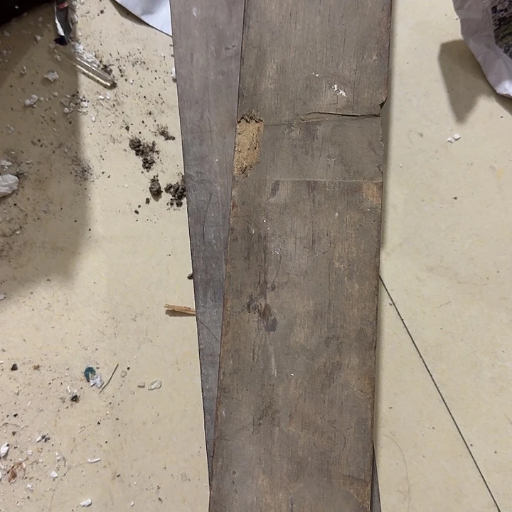 地***)扇子呼呼呼呼呼呼呼呼呼呼