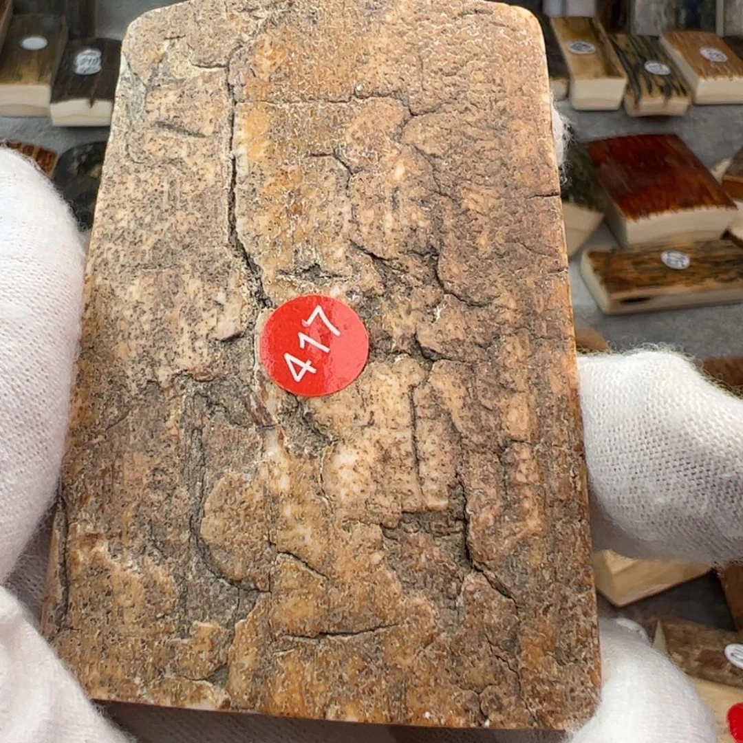 泥塑猛犸真品福利打孔不退批货