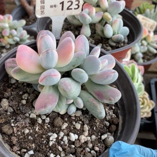 123一一一一一一一一一