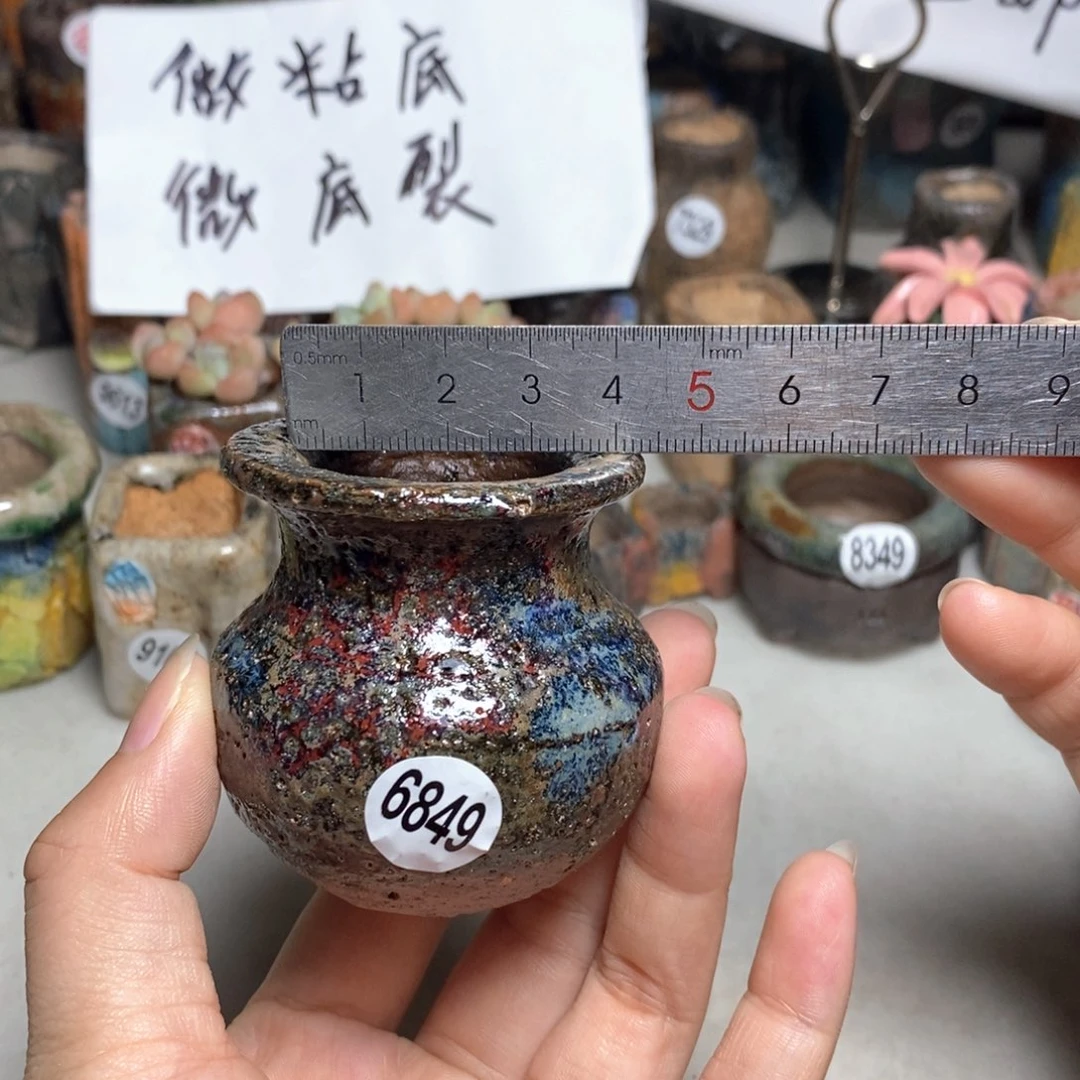 拍5送一个小礼物