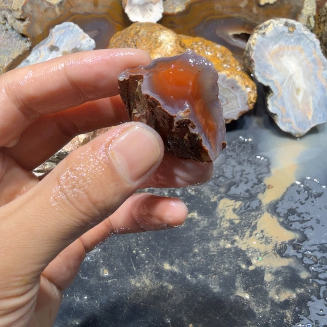 未镶嵌玛瑙/玉髓珠宝半成品