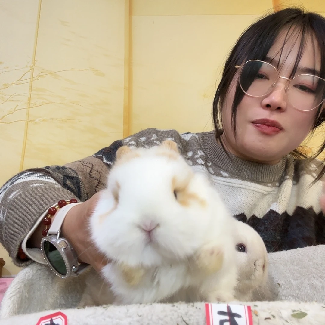 乐****侏儒兔弟弟侏儒兔兔兔兔