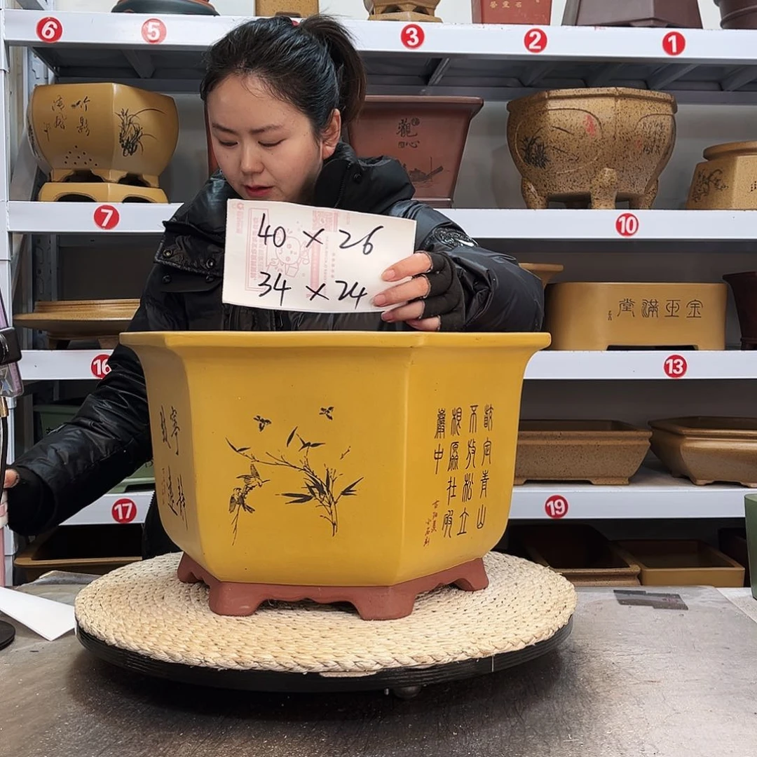 紫砂花盆紫砂花盆