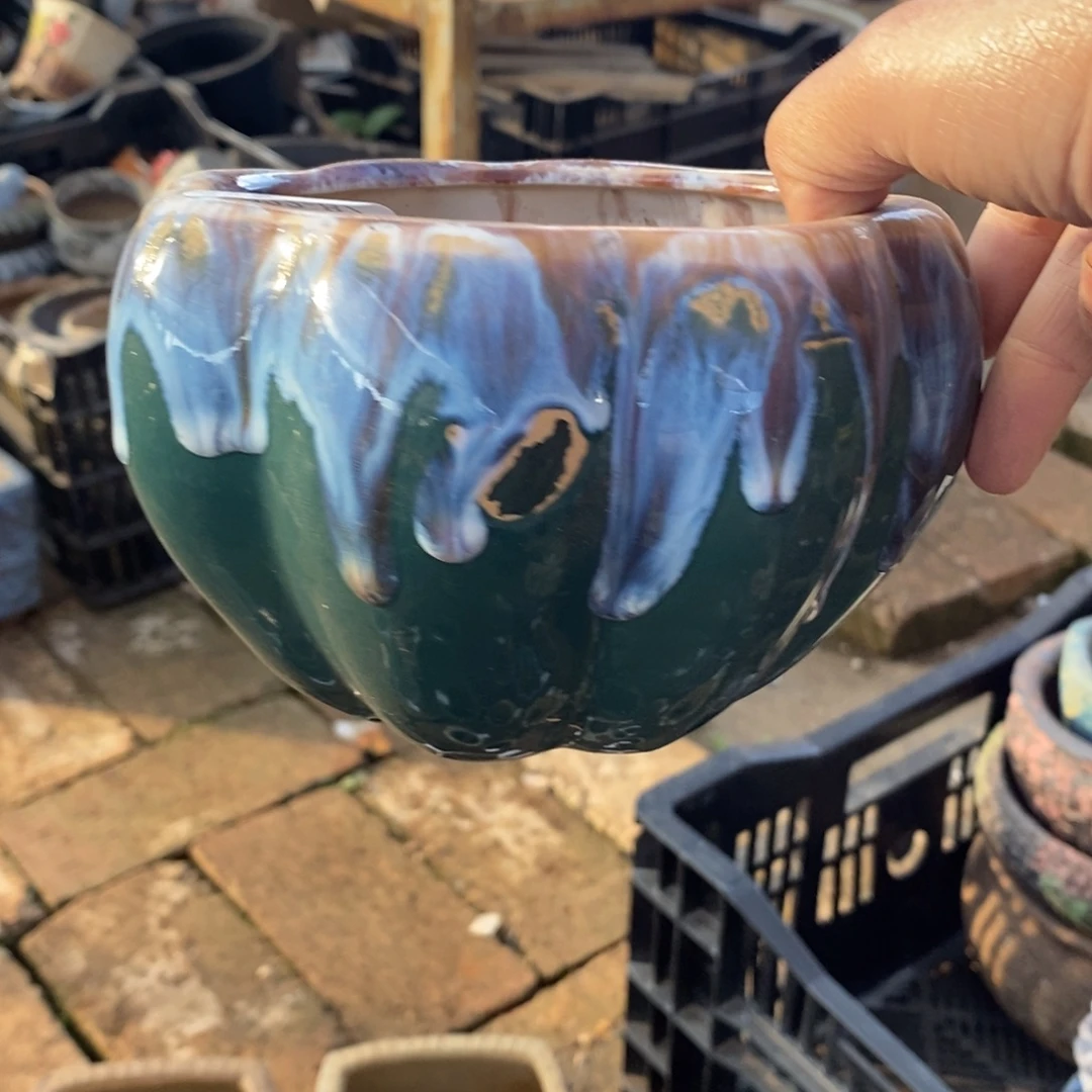 87号多肉盆口径11