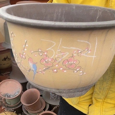 紫砂中国宜兴紫砂花，