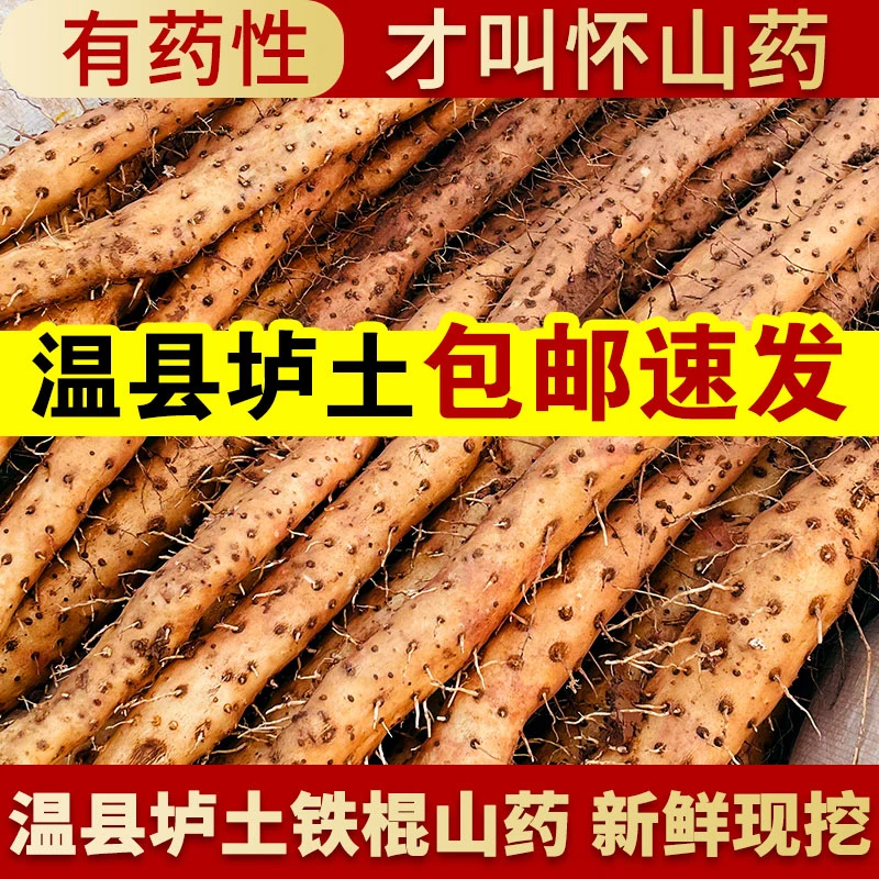 帝葆焦作铁棍山药家庭装新现挖鲜营养美味香甜健康原产地包邮直发