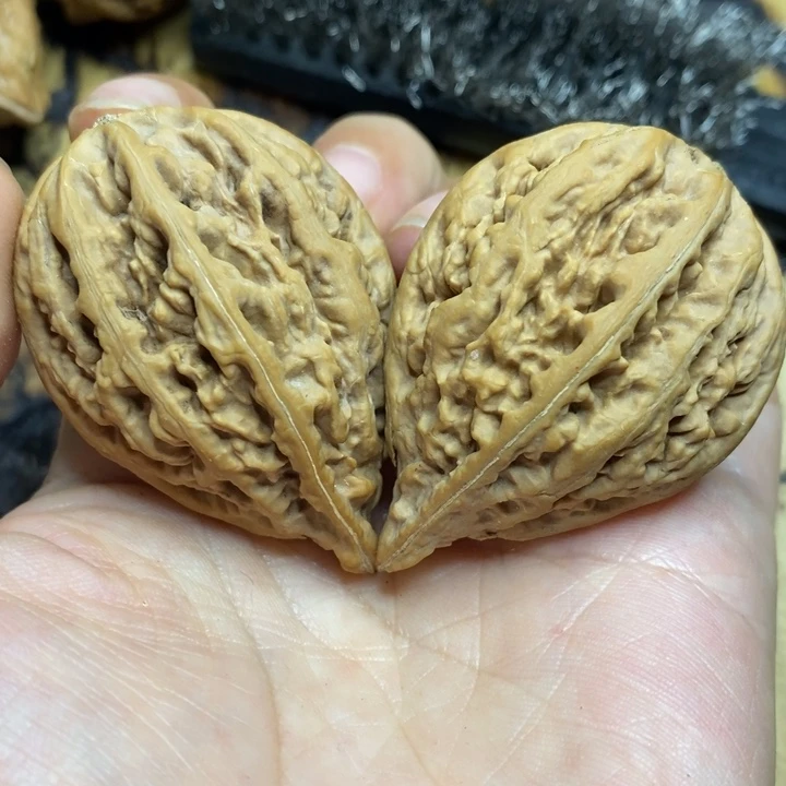 吊坠文玩核桃蚂蚁红缨枪