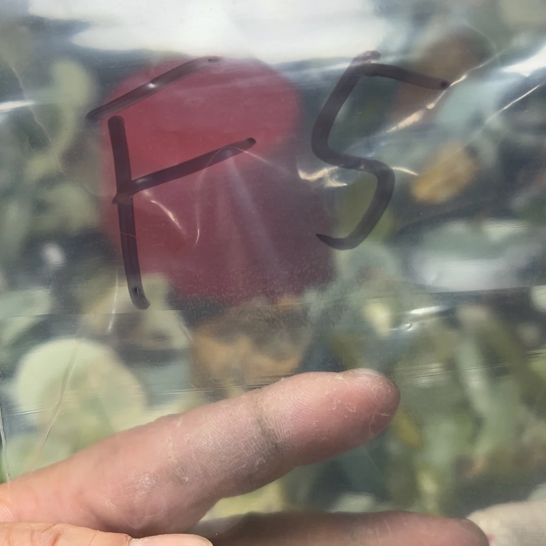 柴***轩蛇纹石玉未镶嵌岫玉手镯心，平安无事牌