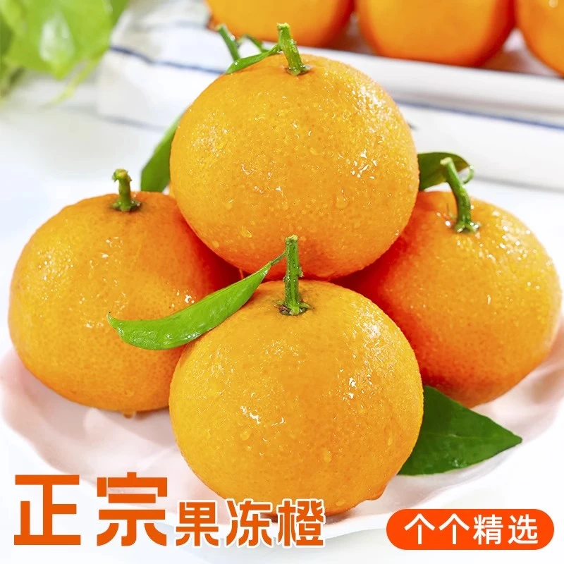 四川眉山爱媛38号果冻橙新鲜采摘应季无籽无渣水果