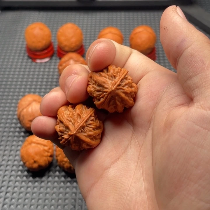 把件文玩核桃龙脊