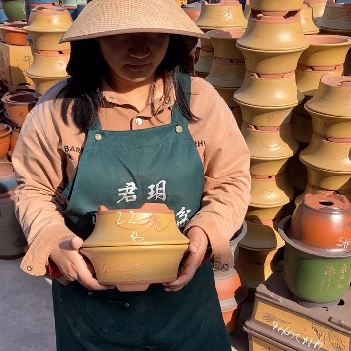 紫砂花盆紫砂花盆盆栽花卉苗木种植