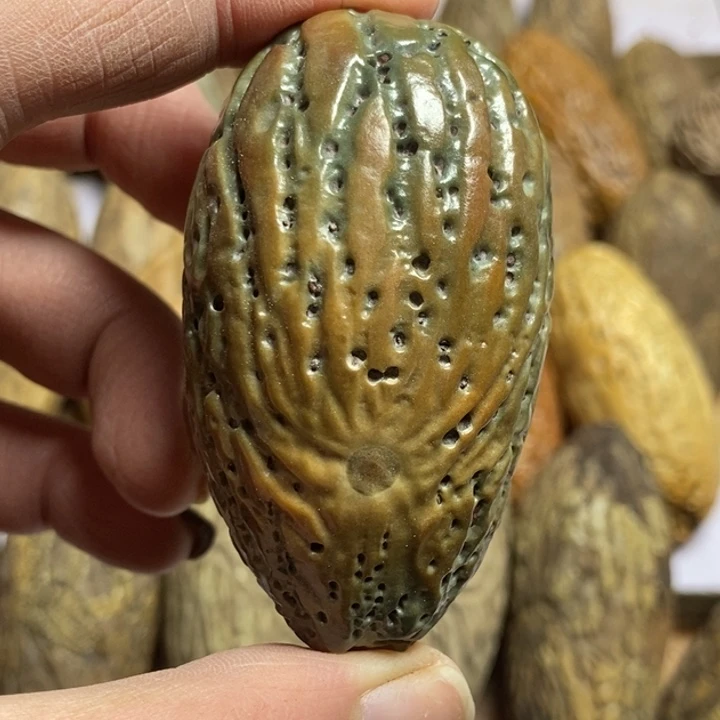 家****吊坠千眼菩提菩提