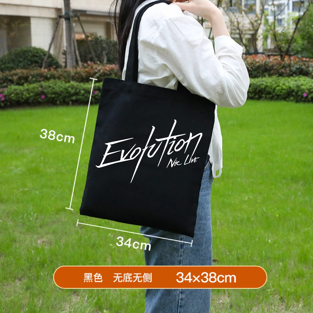 谢霆锋演唱会周边广州进化演唱会应援单肩包帆布包大容量手提包