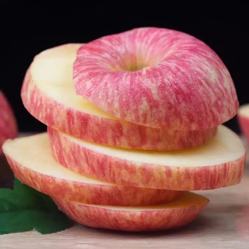 （条纹）烟台栖霞红富士苹果口感脆甜多汁原产地直发坏果包赔