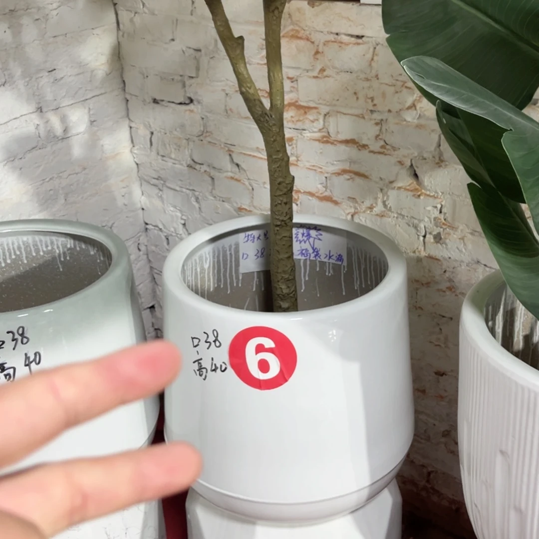 陶瓷一****?6号特大号2个正常品