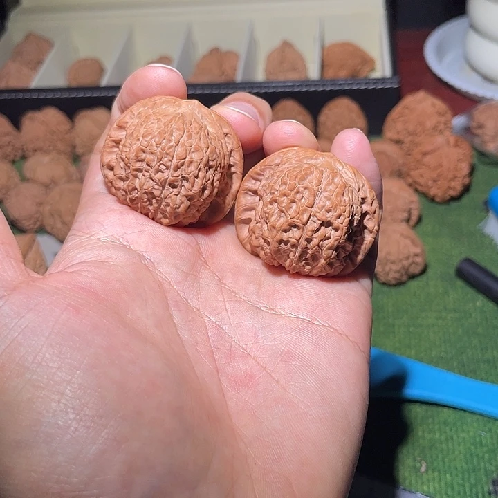 把件文玩核桃40全品血麒麟