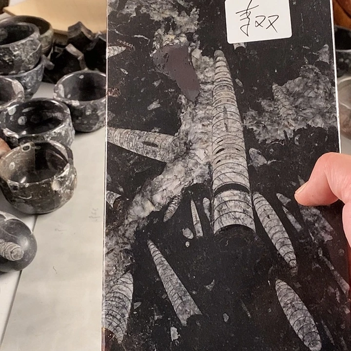 李****化石茶盘粉丝福利