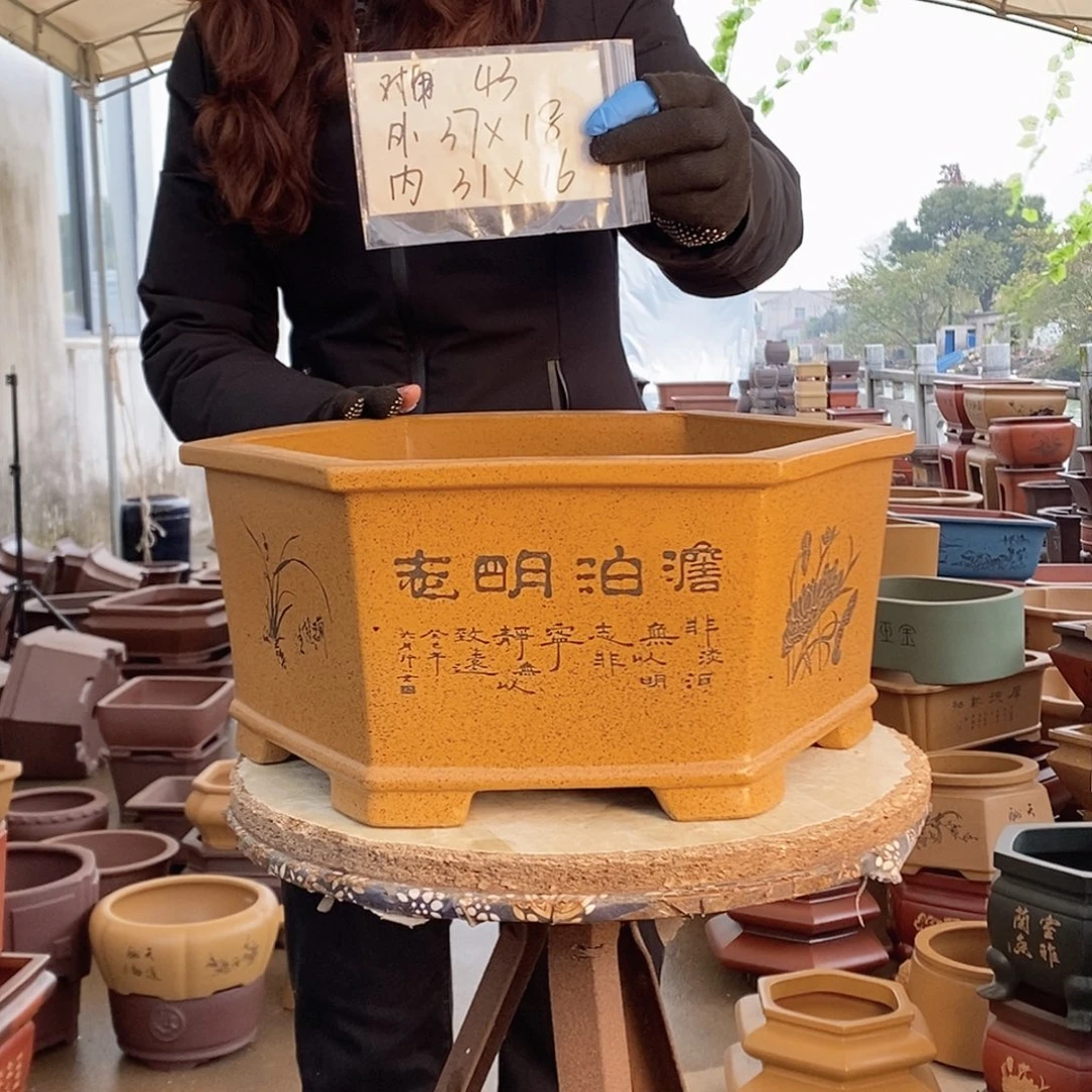 紫砂花盆紫砂花盆