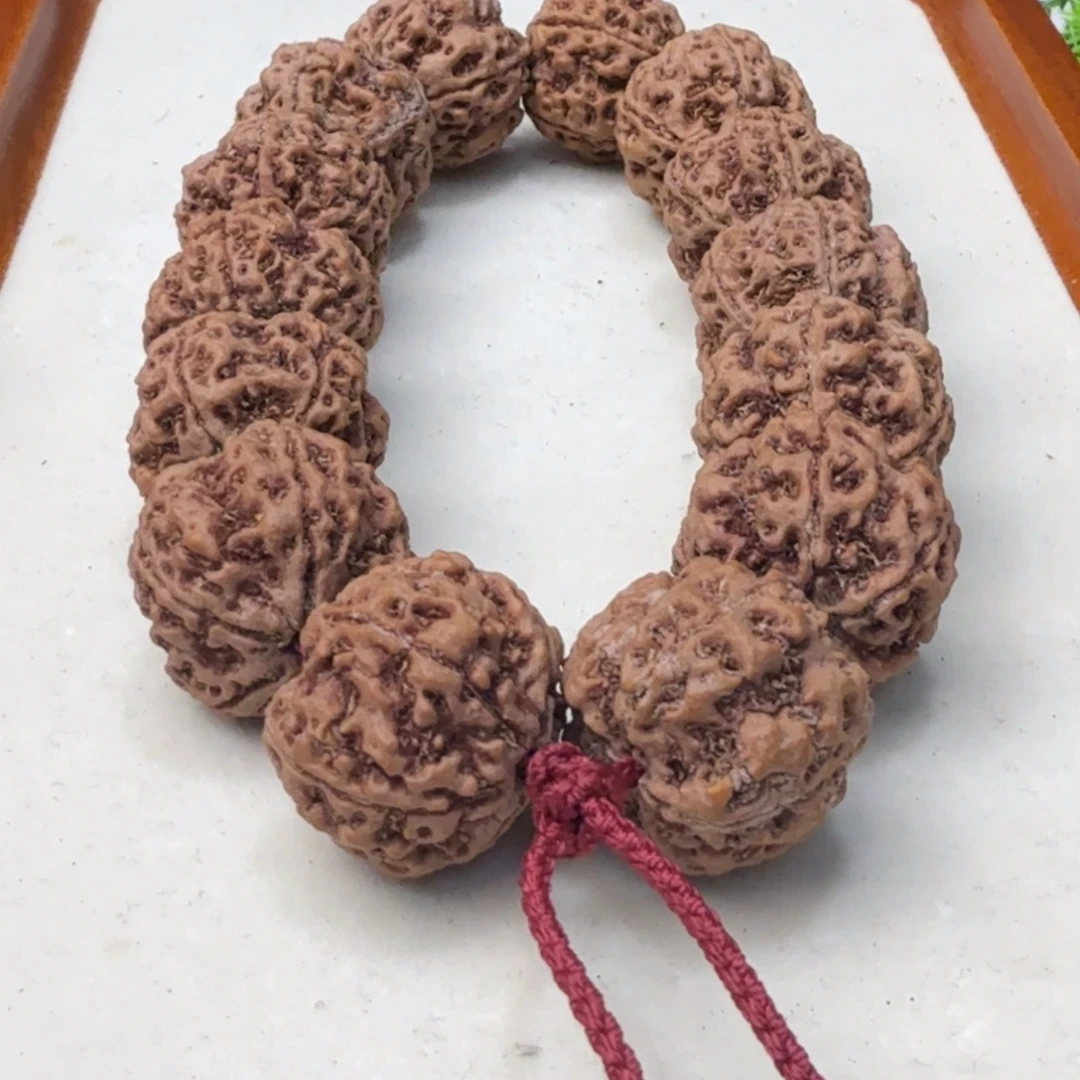 金刚菩提吊坠雪山铁籽粗筋梅花蜂窝双龙