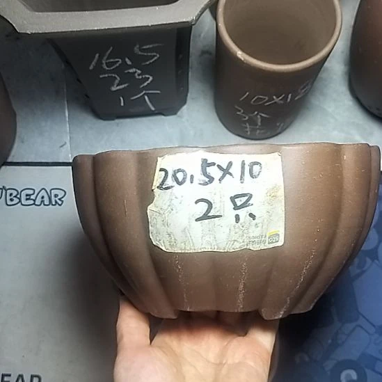 南瓜两个紫砂花盆