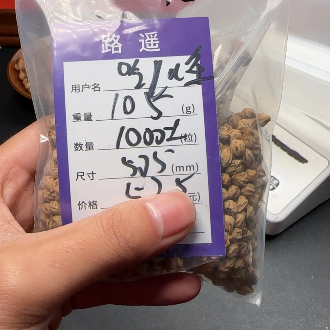 吃***不柏香籽/百香籽吊坠