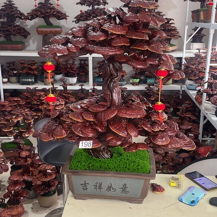 绝***瞎198888888888888888888