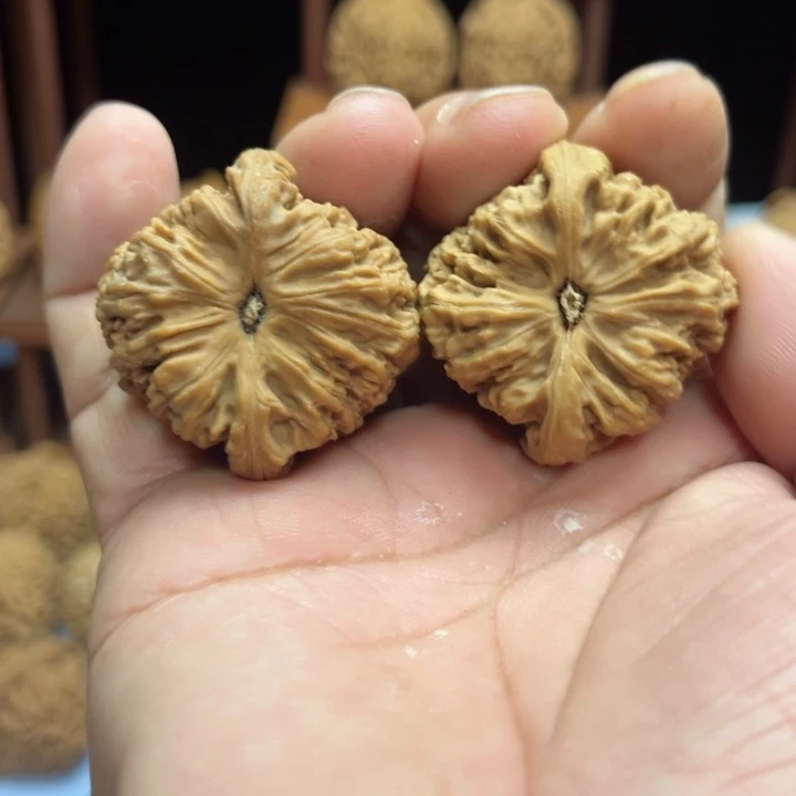 完全开放海****8南疆石