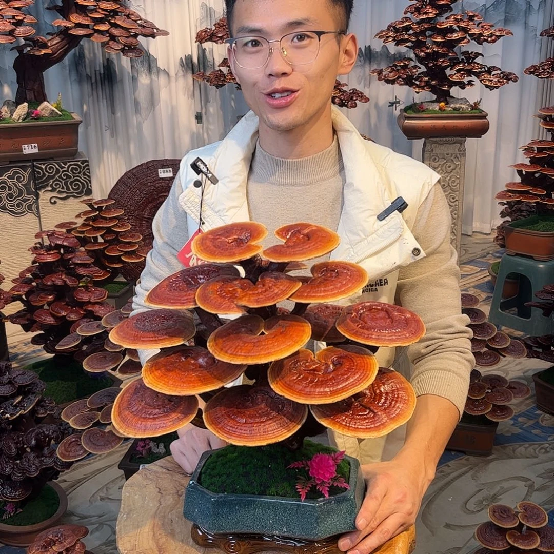 无花朵88888888888