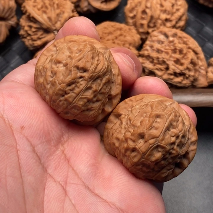 核桃37尺寸正南瓜