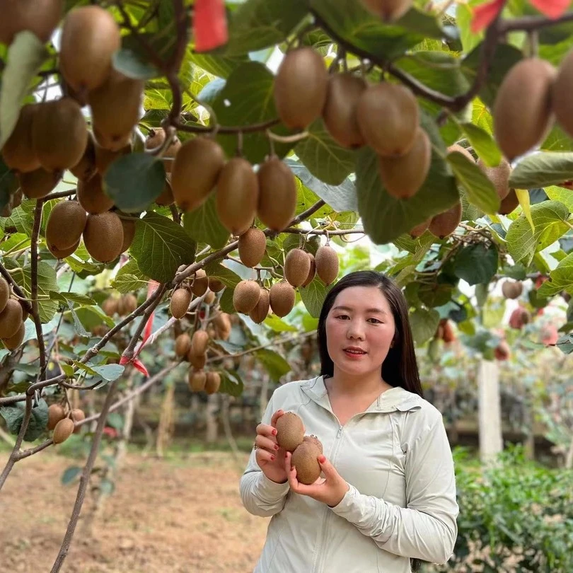 陕西绿心翠香猕猴桃新鲜采摘当季水果香甜多汁维C丰富