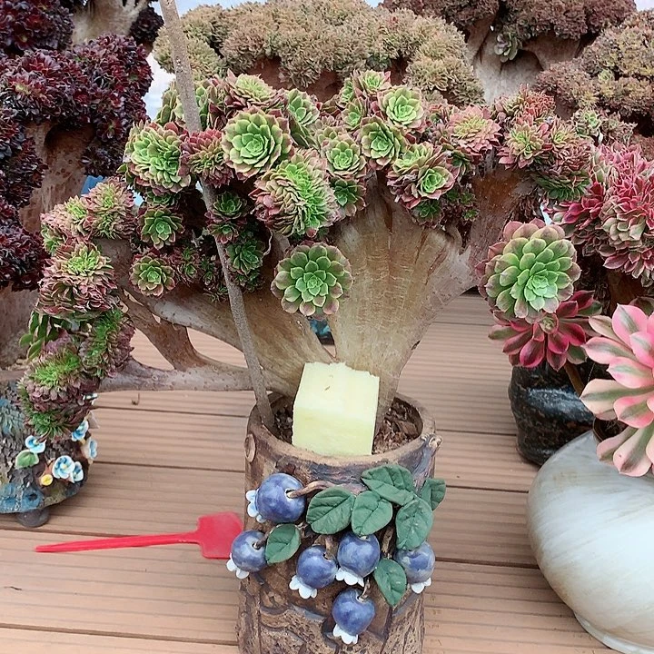 三*嘉年华缀化脱土发货