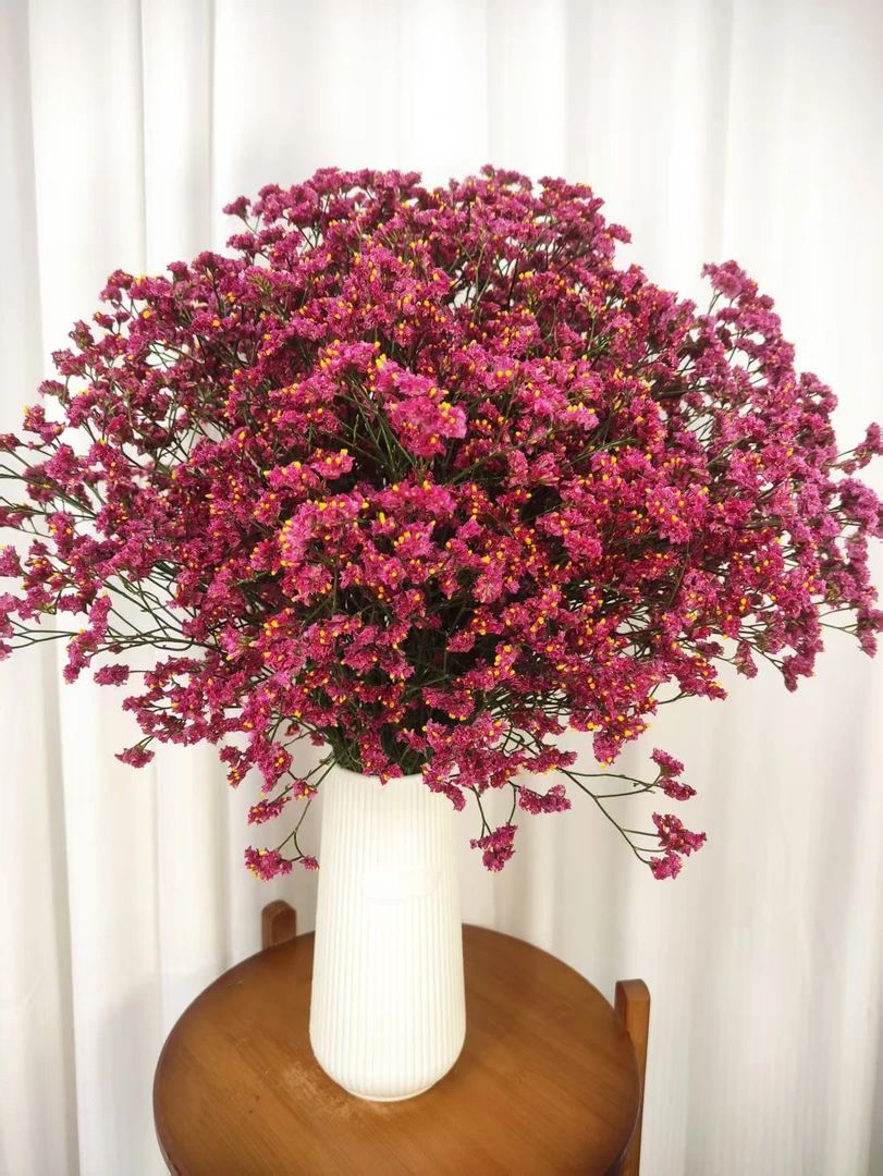 【送花瓶】红水晶云南基地直发红水晶干花花束花卉半干植物家具装饰