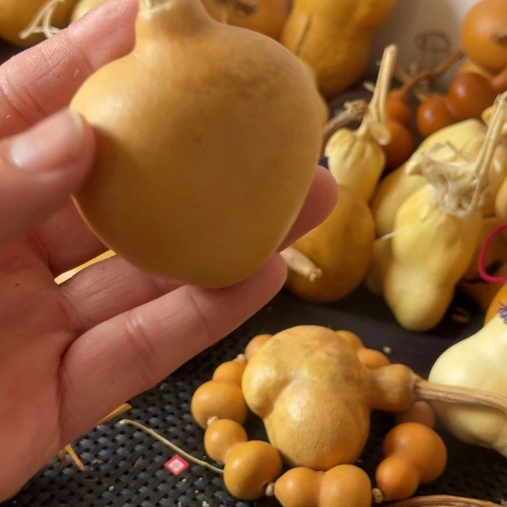 毛***哈葫芦葫哈哈哈哈哈哈