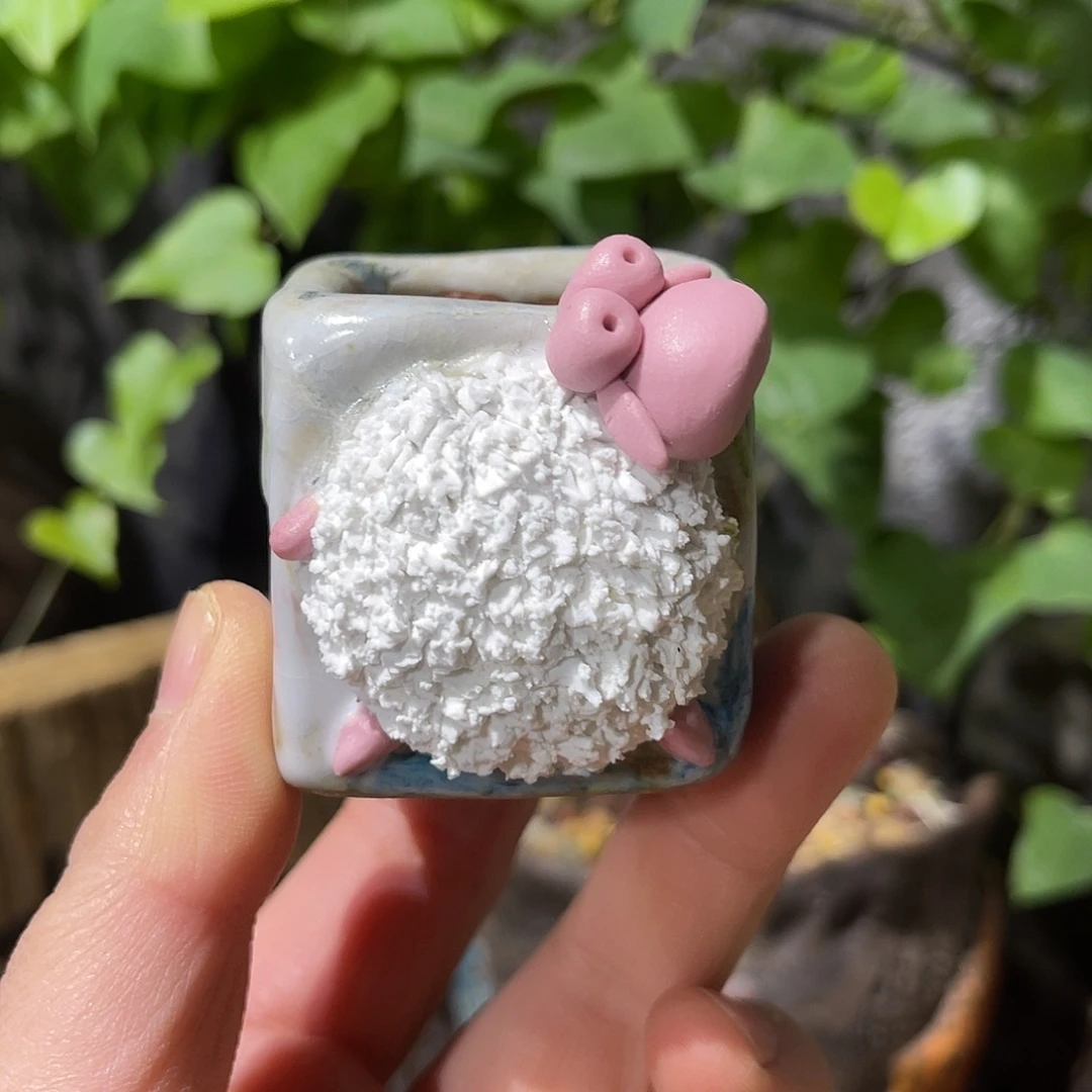 内口3.5外高4厘米左右