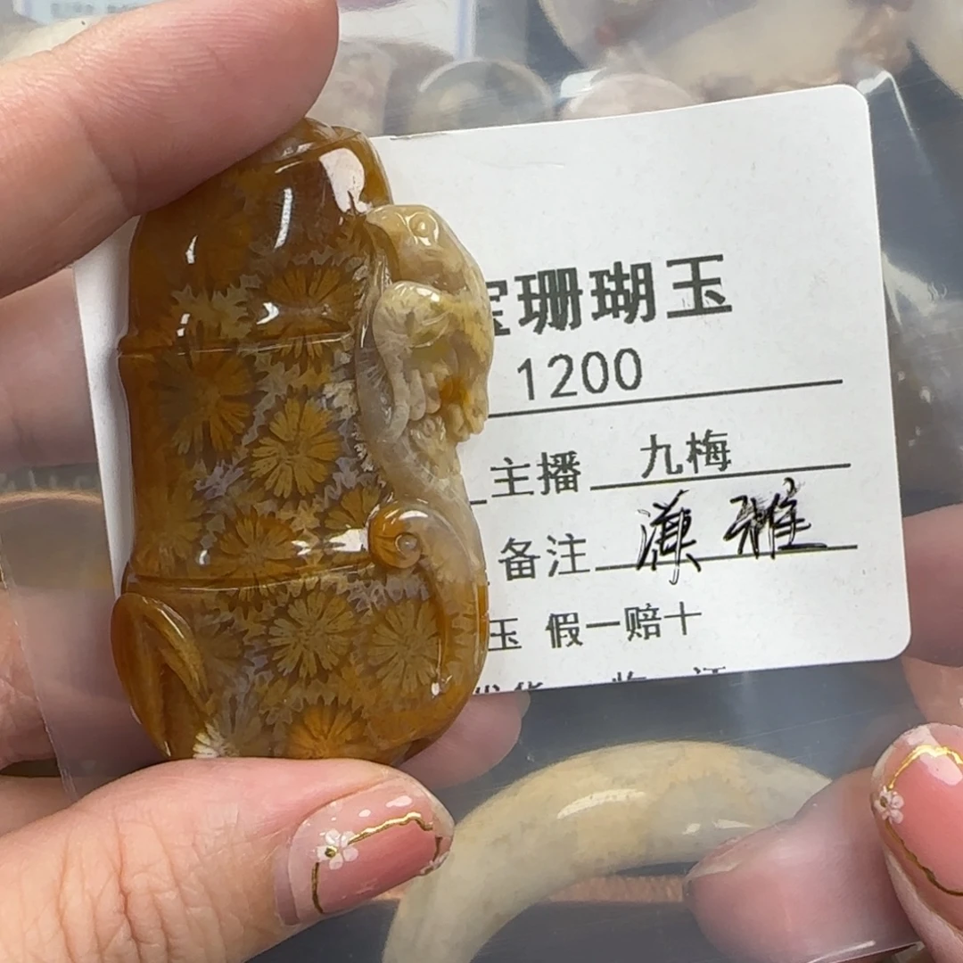 谦***雅硅化珊瑚（珊瑚玉）未镶嵌颈饰