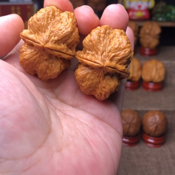 文玩核桃把件25霸王龙脊37