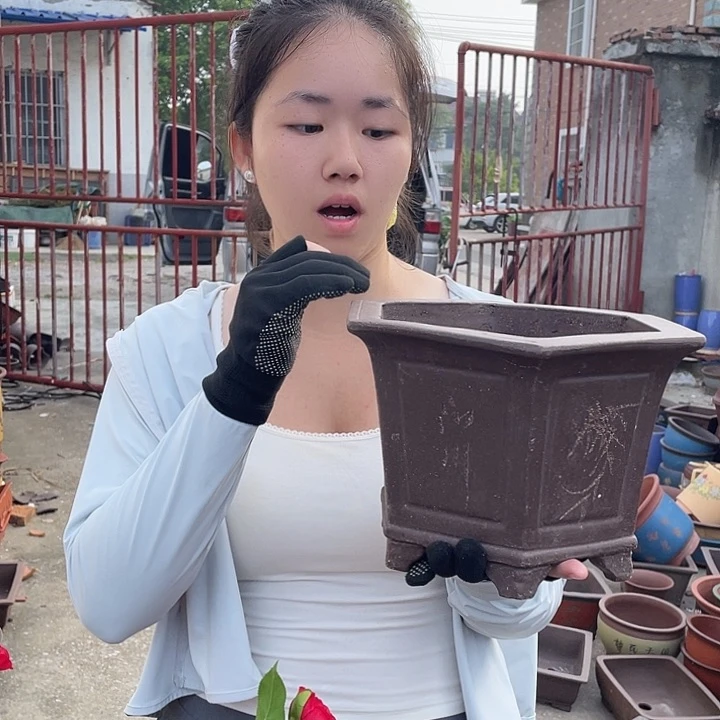 25刻绘六方花盆花盆花盆