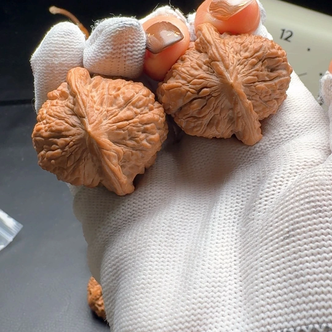 文玩核桃把件36金钱豹780