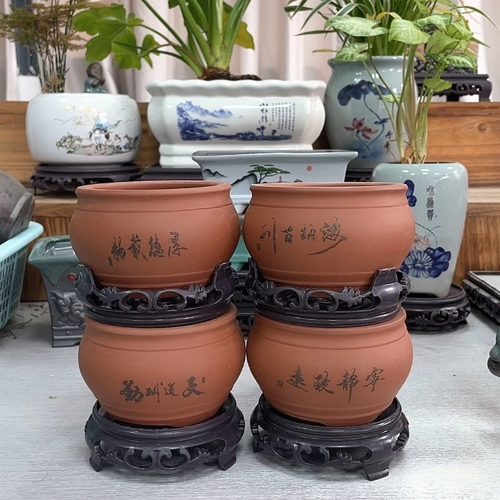 陶瓷花盆精品抢购福利