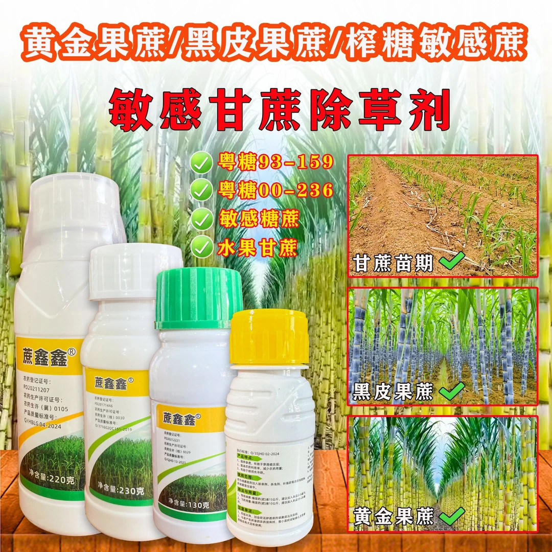 蔗鑫鑫水果甘蔗黄金甘蔗敏感甘蔗除草剂防除甘蔗地杂草除草带封闭