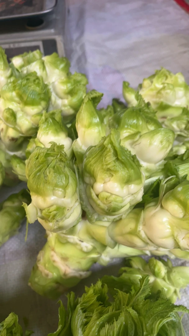 儿菜 有儿有母 乡村赶集新鲜采摘生鲜儿菜有儿有母